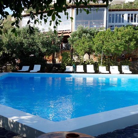 Cretan Village Hotel Amoudara  Exteriör bild